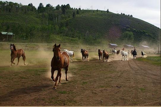 Parade Rest Ranch West Yellowstone Luaran gambar